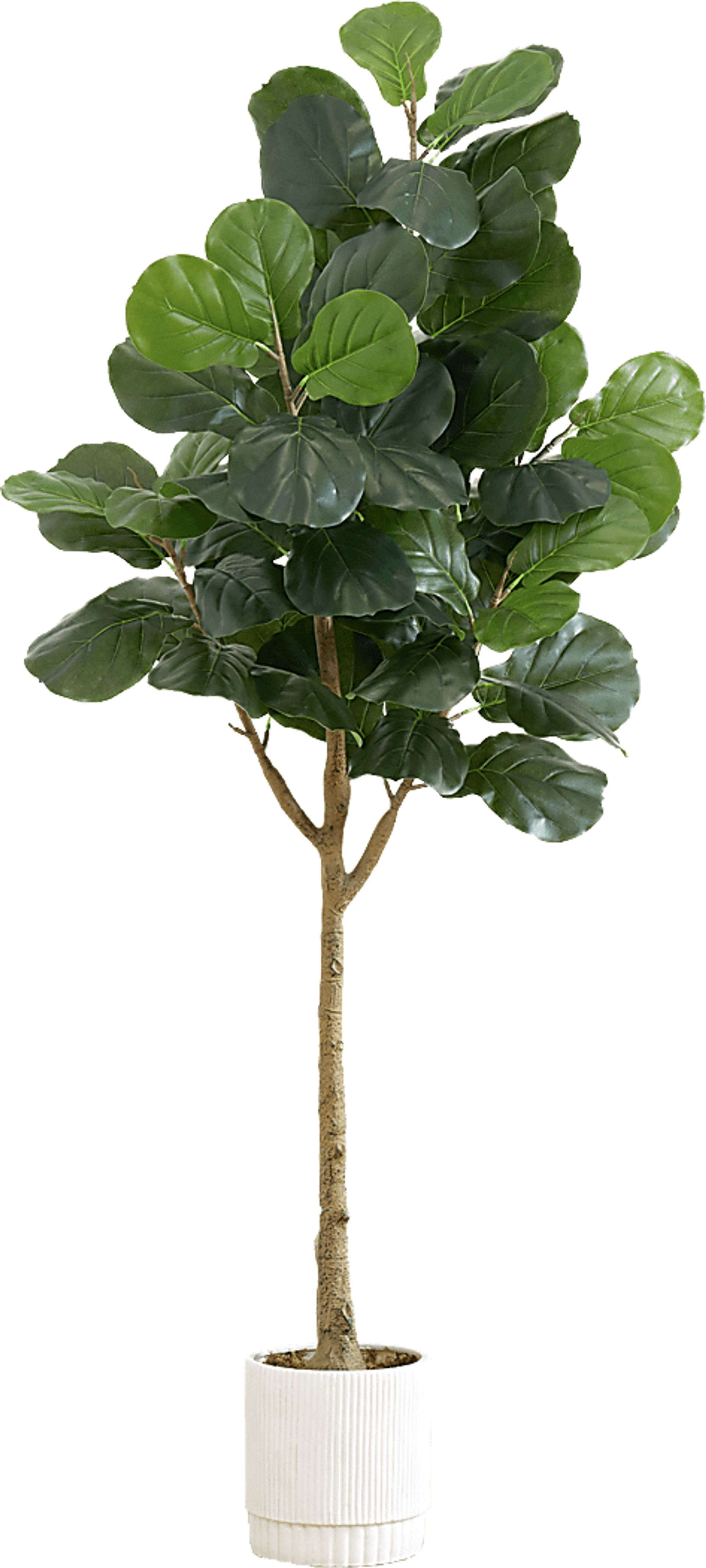 Esturion Green Tree with Planter - Image 1