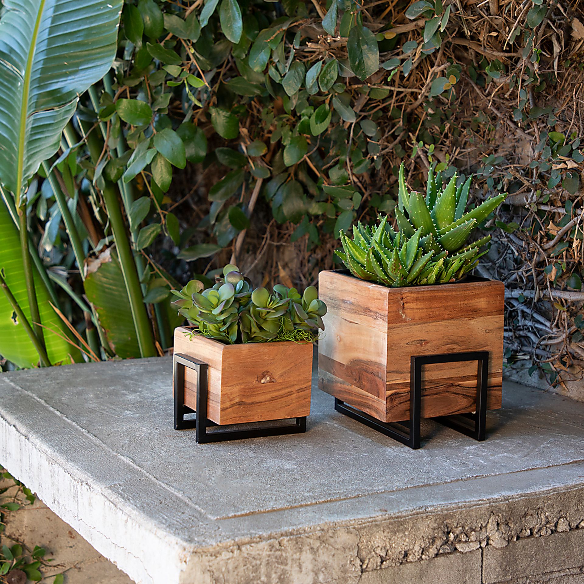 Eufaula Brown Planter, Set of 2 - Image 2