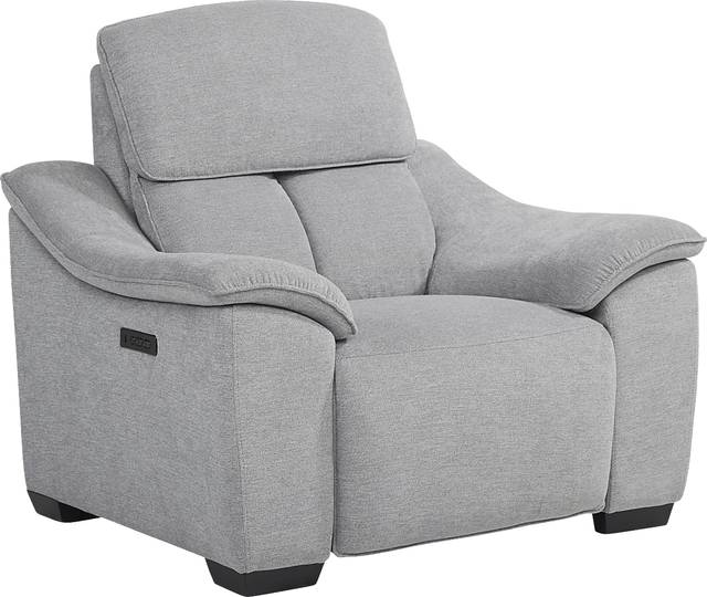 Eustice Bank Light Gray Dual Power Recliner - Thumbnail - Image 1
