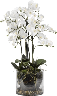 Evonna White Orchid Silk Flower Arrangement