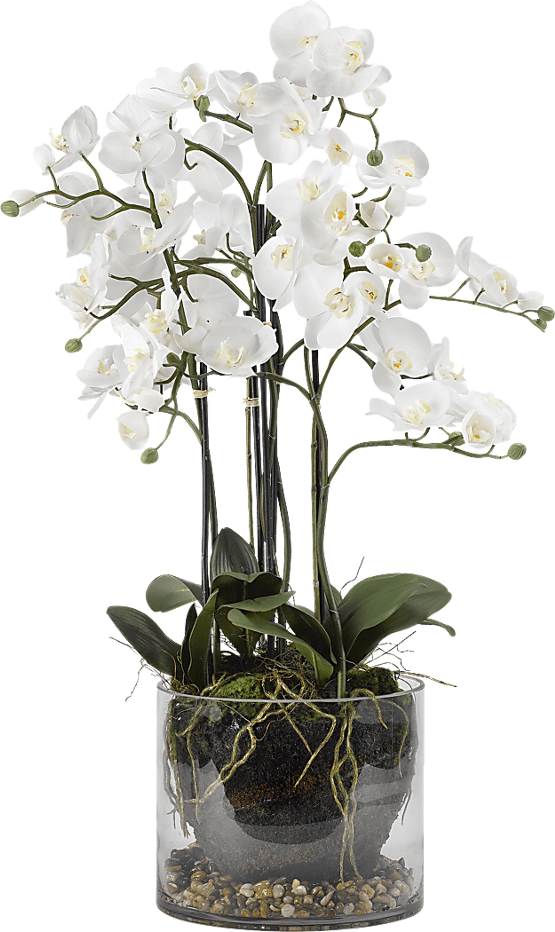 Evonna White Orchid Silk Flower Arrangement - Image 1