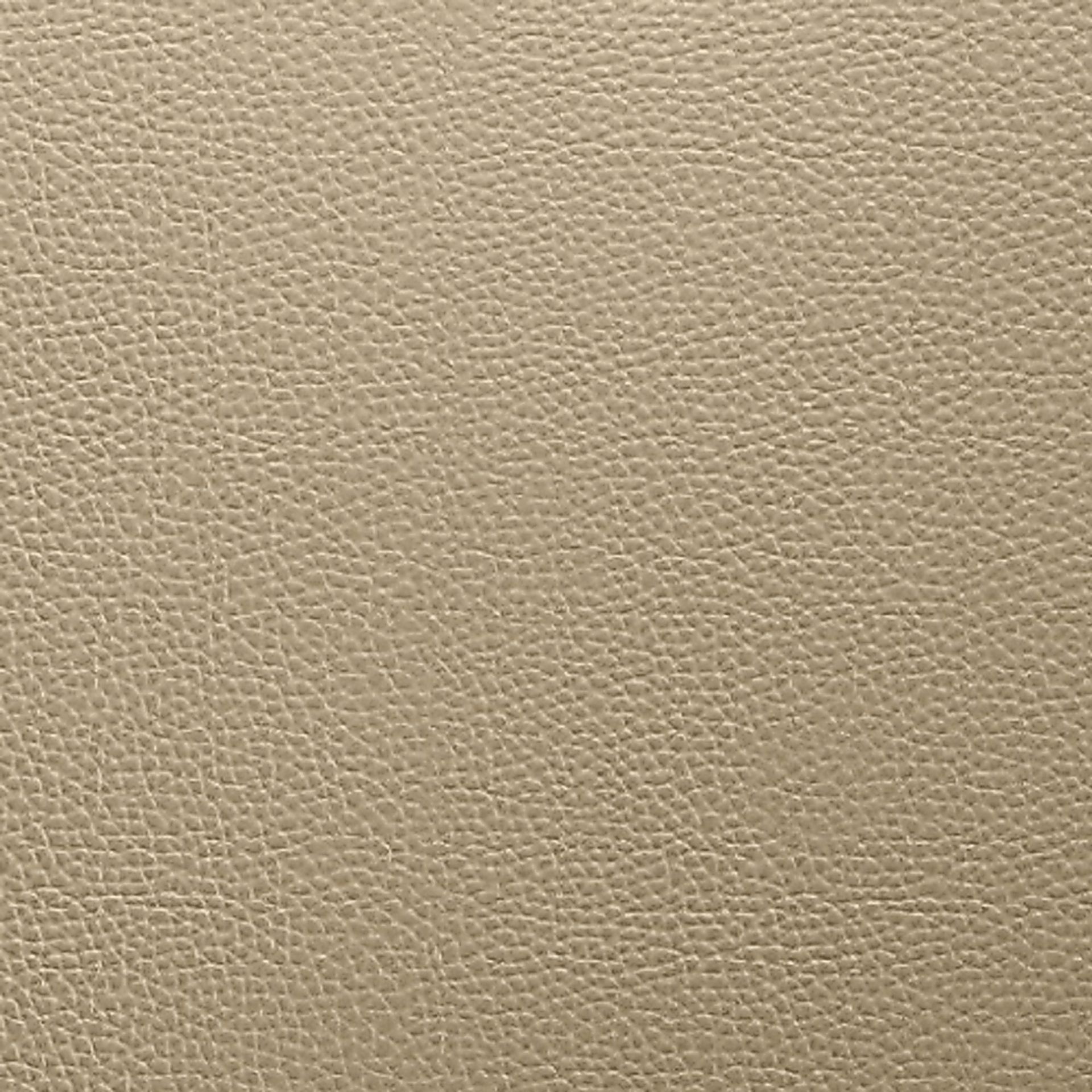 Explority Champagne Side Chair, Set of 2 - Image 2