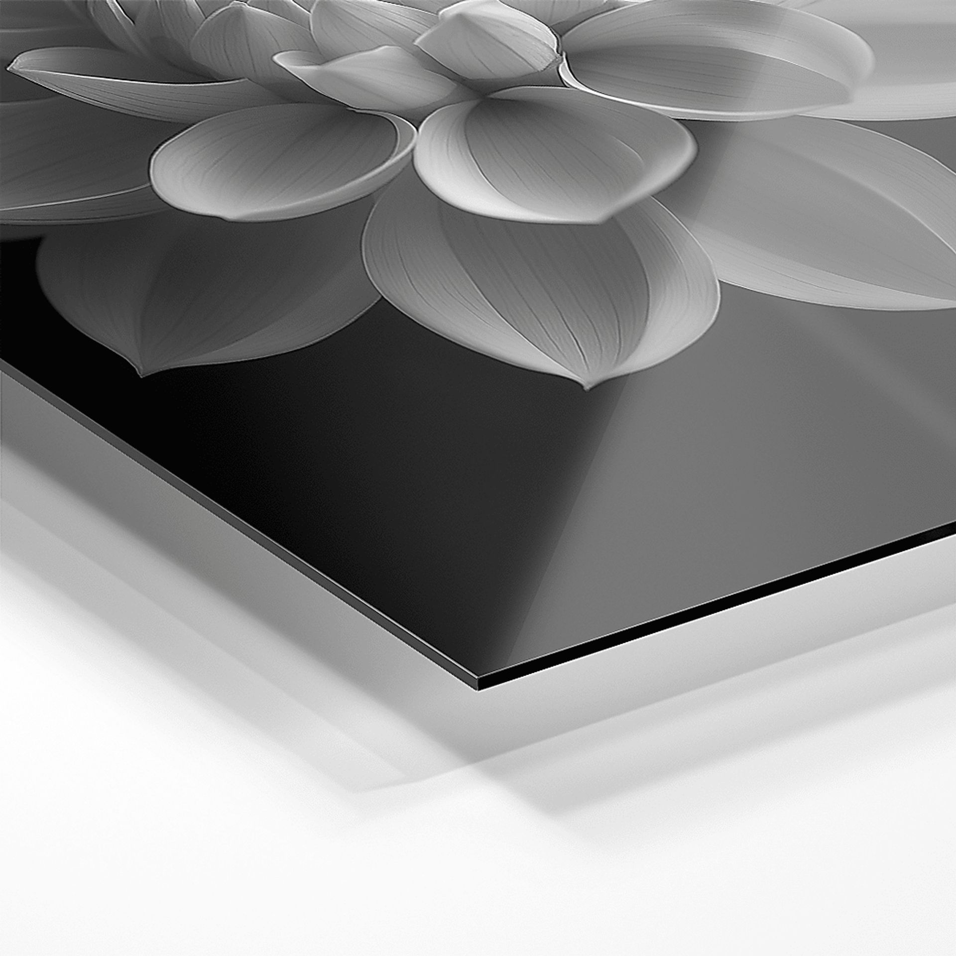 Faniry I Black Artwork - Image 2