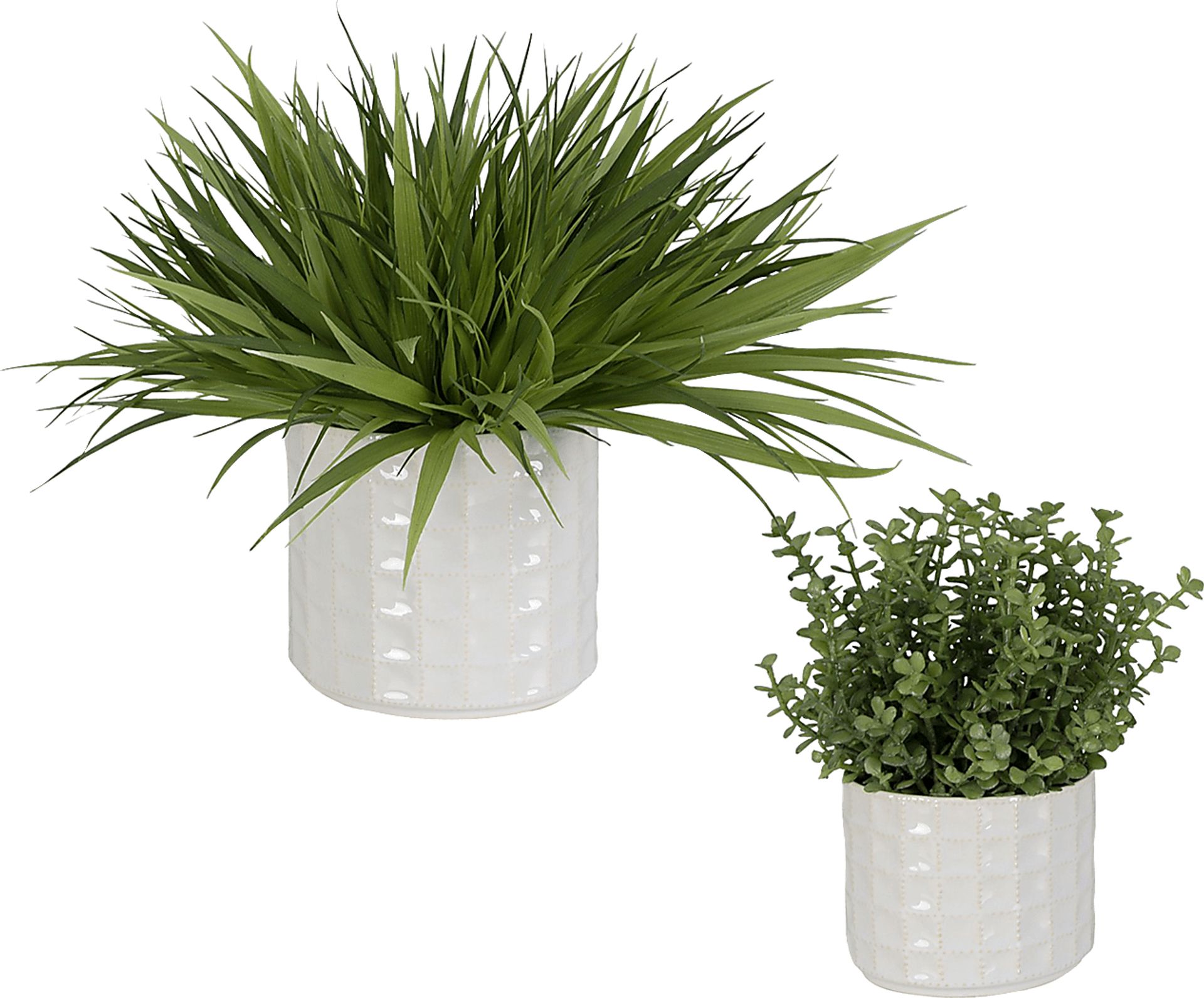 Farryn White Plant, Set of 2 - Image 3