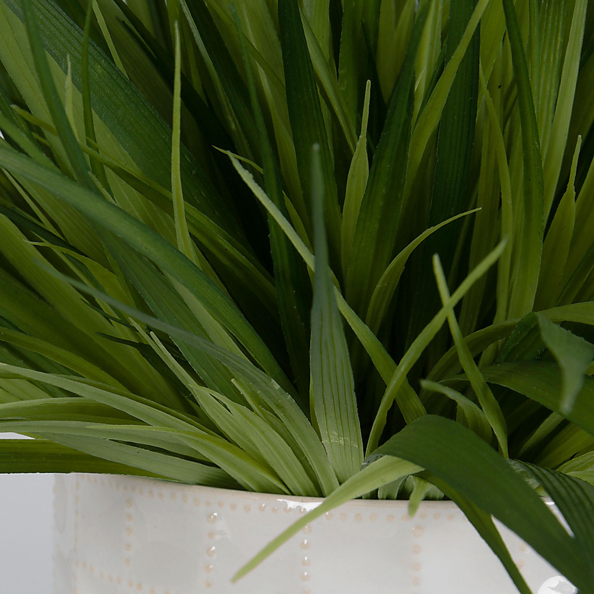 Farryn White Plant, Set of 2 - Image 4