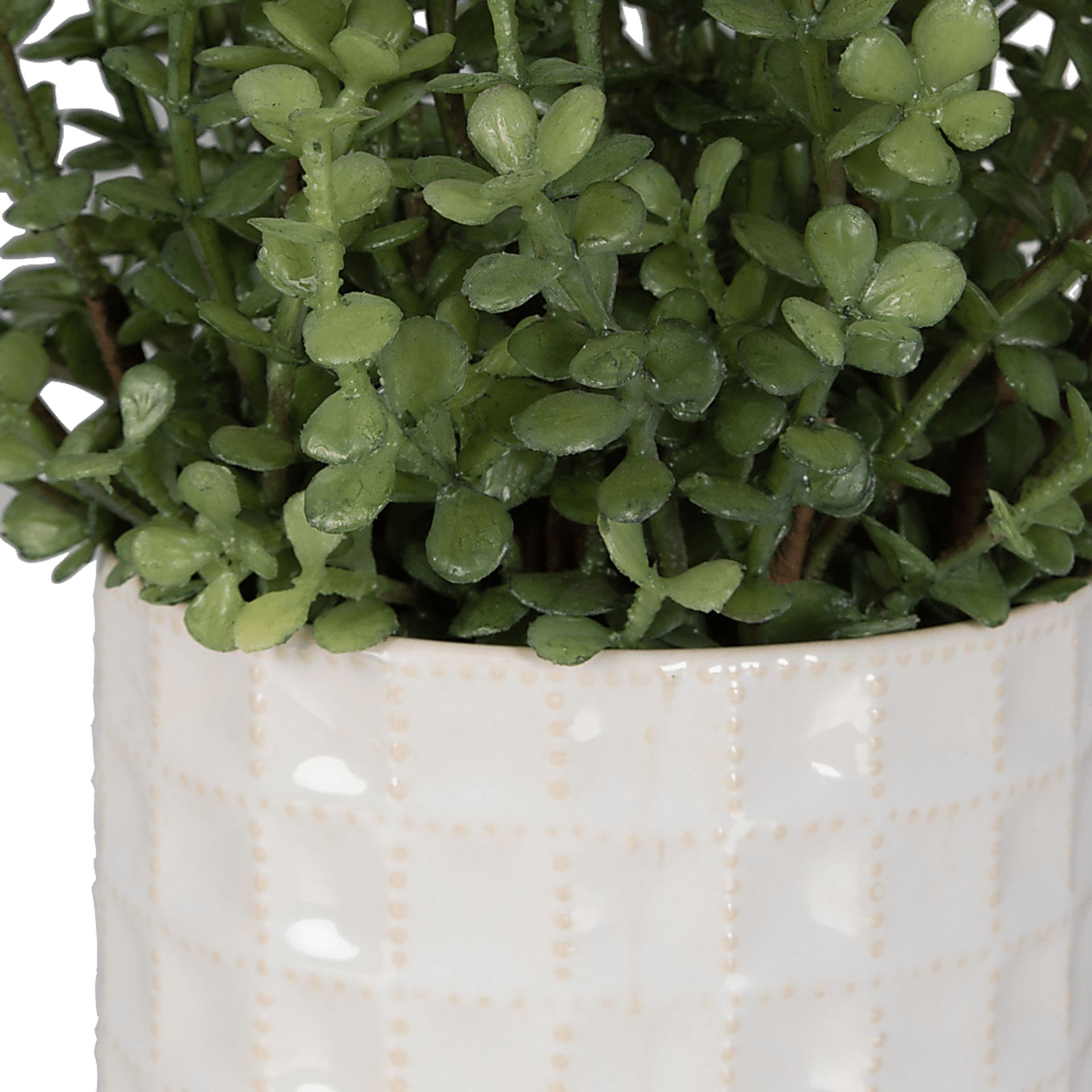Farryn White Plant, Set of 2 - Image 5