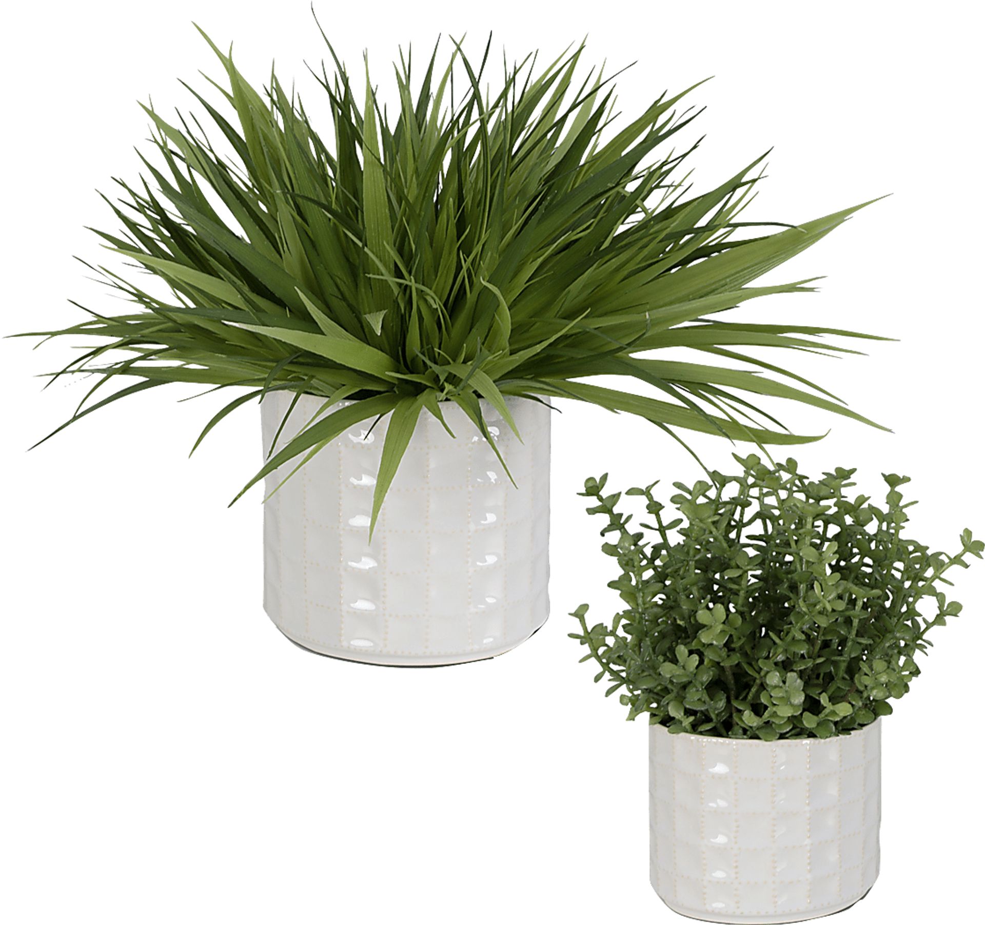Farryn White Plant, Set of 2 - Image 1