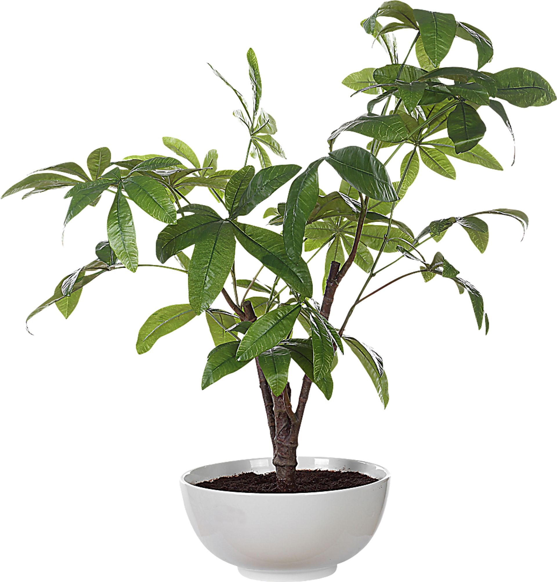 Faun Green Silk Plant - Image 3