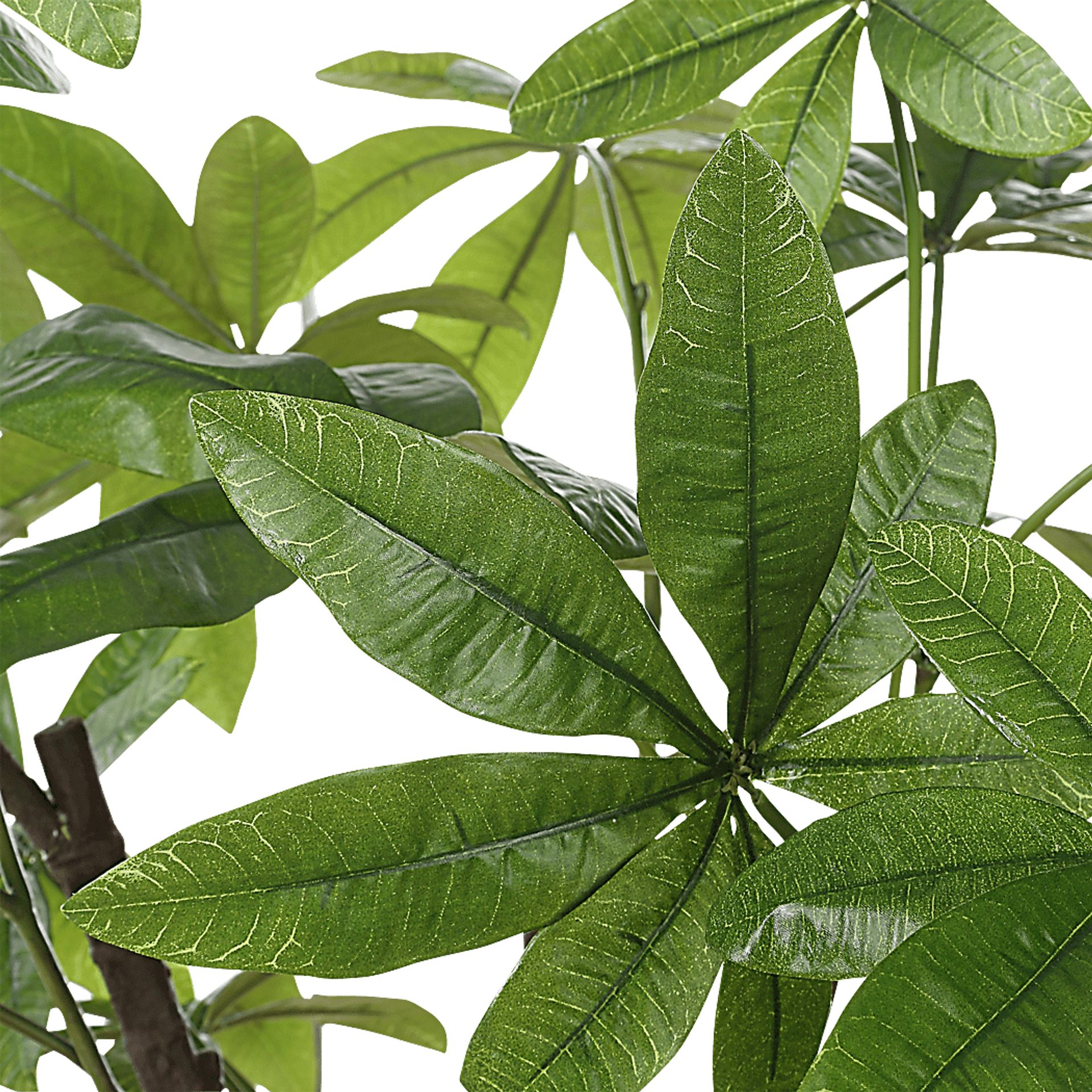 Faun Green Silk Plant - Image 4