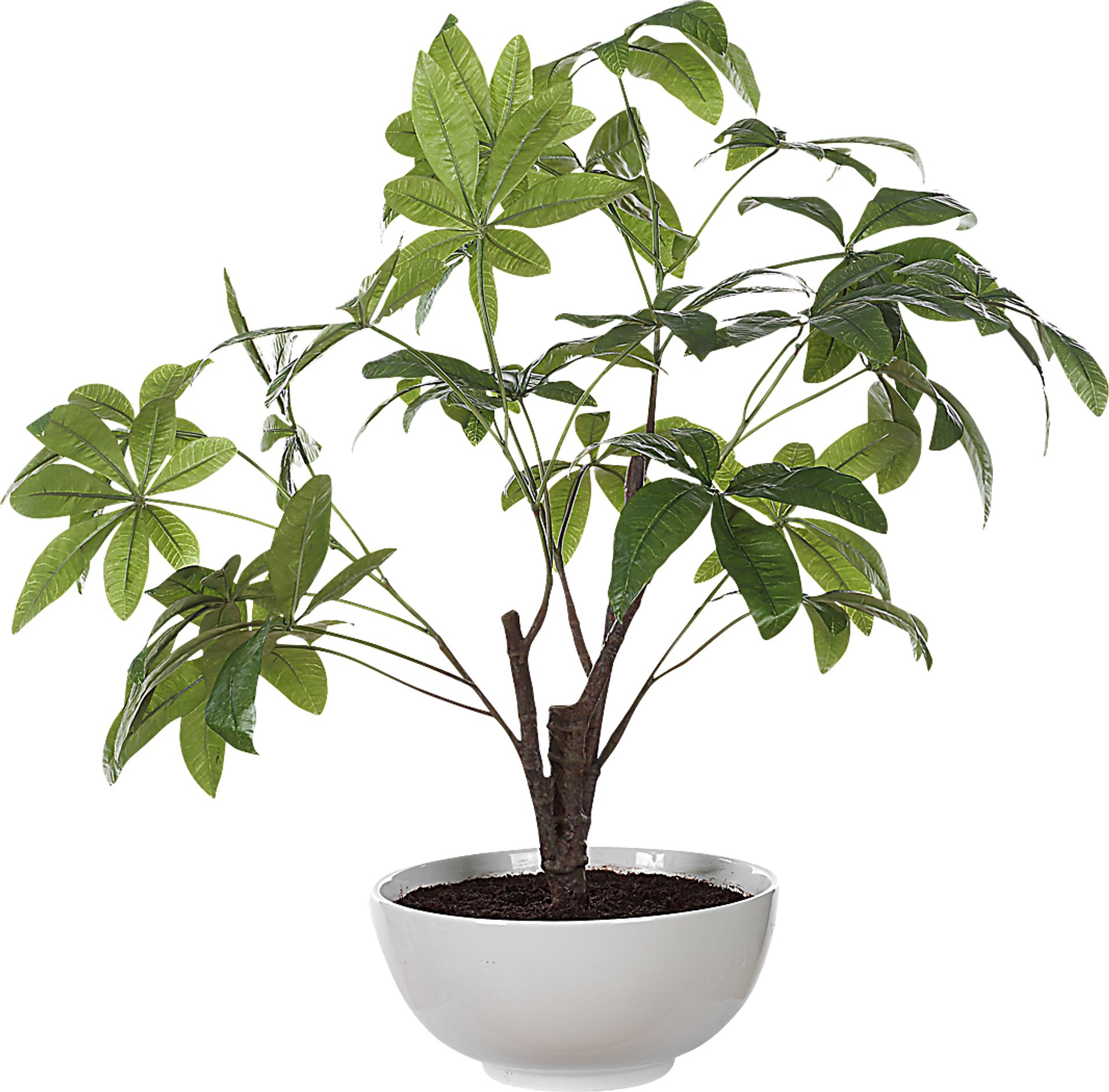 Faun Green Silk Plant - Image 5