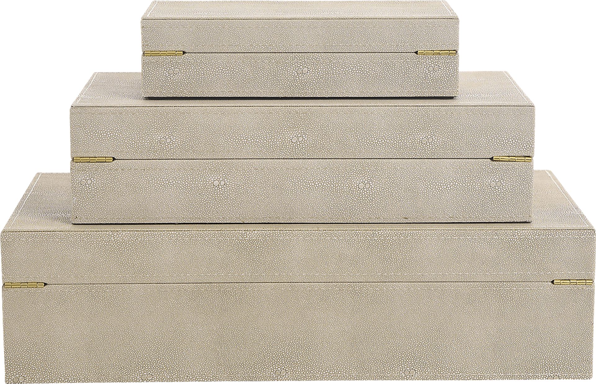 Fazari Taupe Decorative Box, Set of 2 - Image 6
