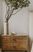Fichett Beige Nightstand