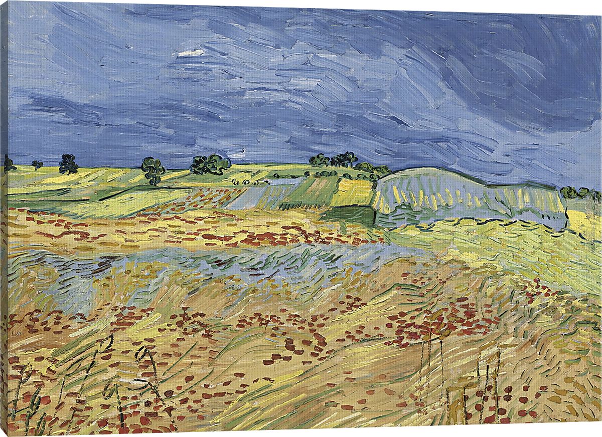 Fields Of Wheat Multi Artwork | Rooms to Go