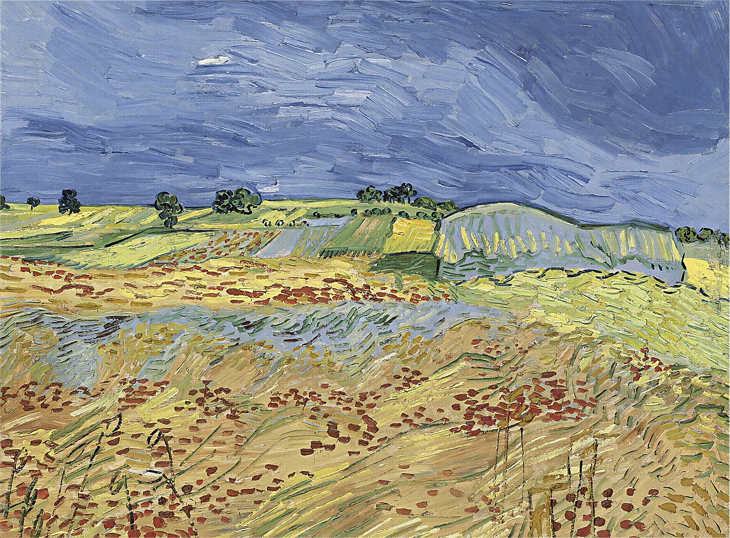 Fields of Wheat Multi Artwork