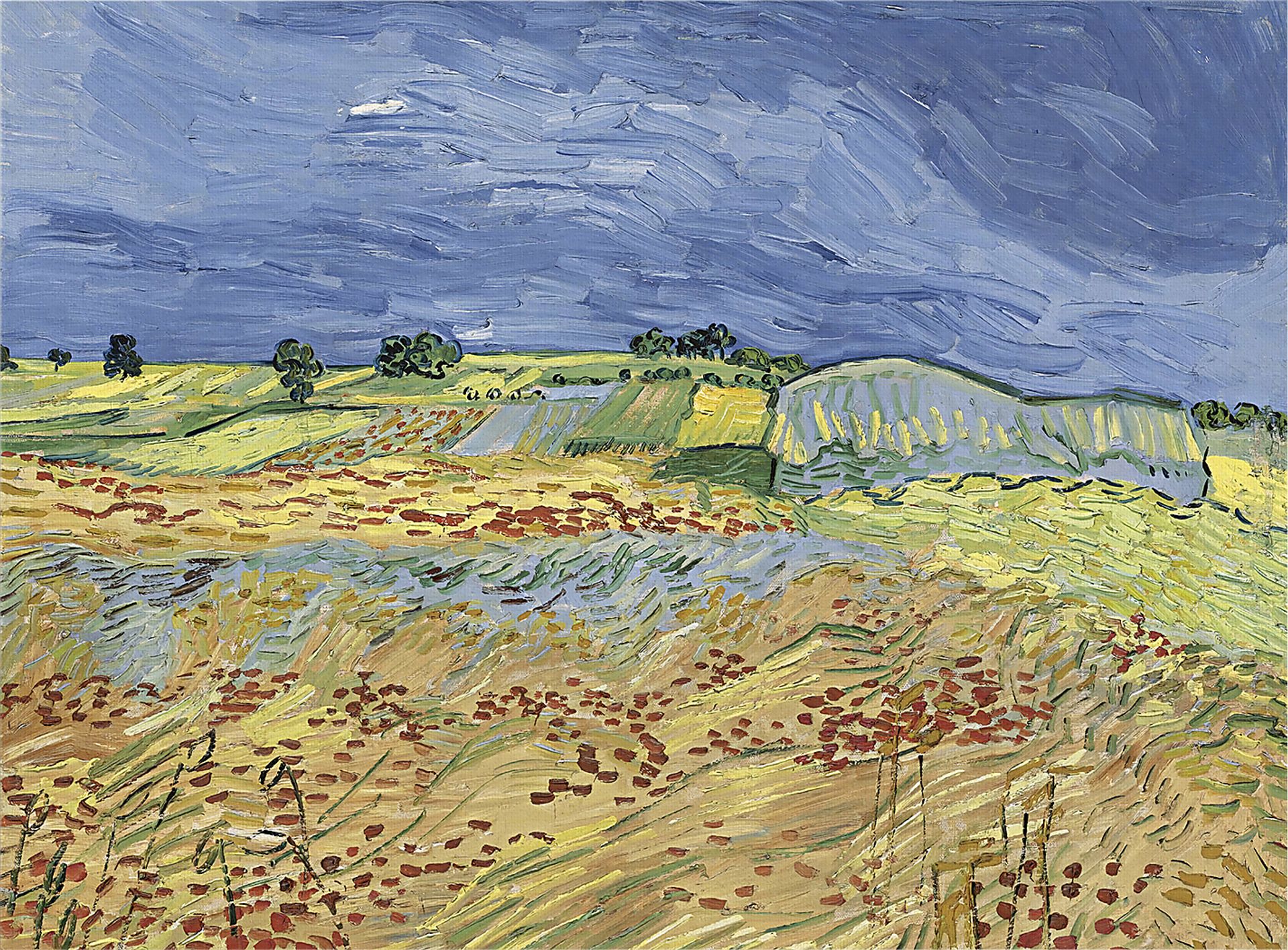 Fields of Wheat Multi Artwork - Image 1