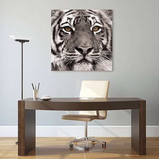 Fierce Look Artwork - Thumbnail - Image 5