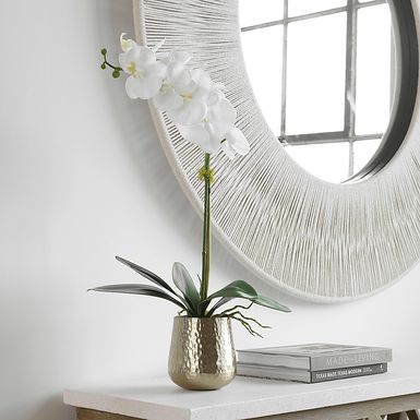Fillingim White Faux Orchid