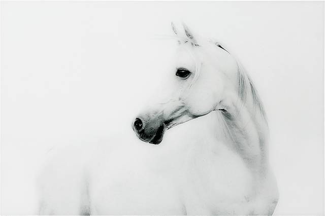 First Winter Artwork - Thumbnail - Image 1
