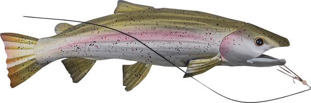 Fishing For Trout Green Wall Art - Thumbnail - Image 1