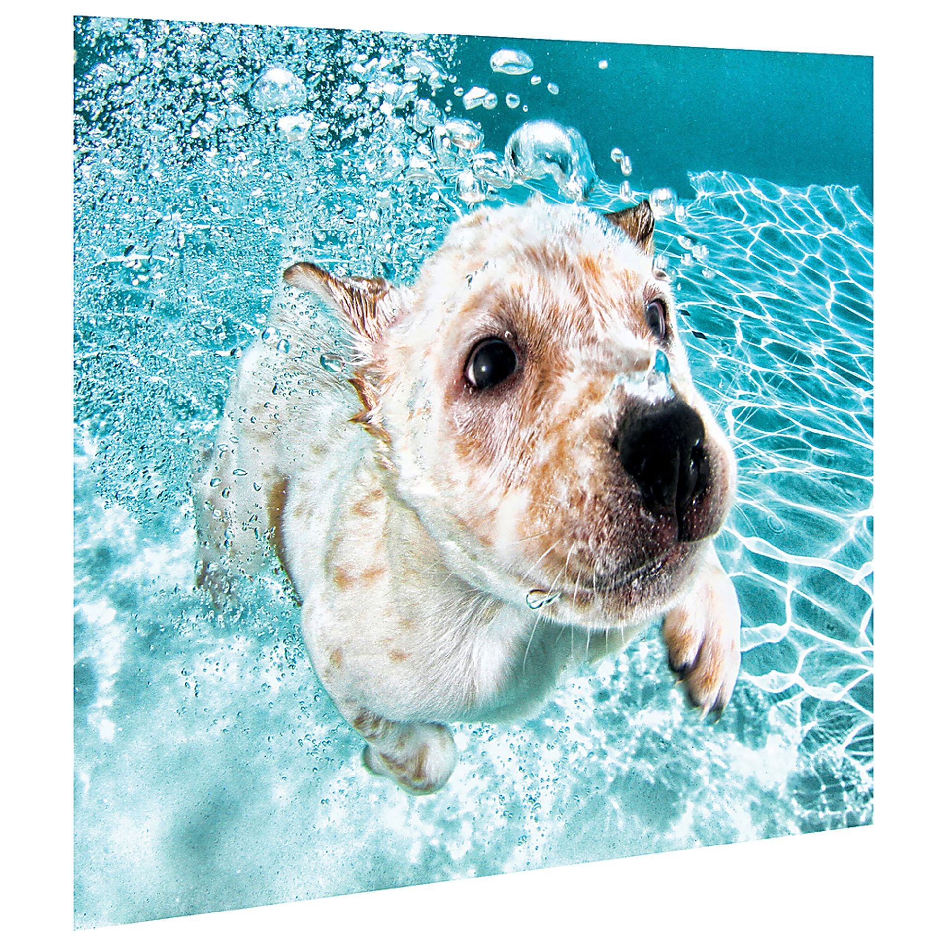 Floating Chubbs Artwork - Image 2