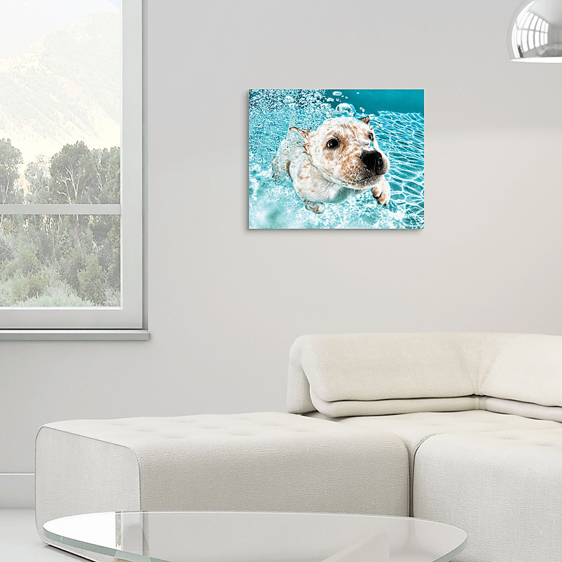 Floating Chubbs Artwork - Image 5