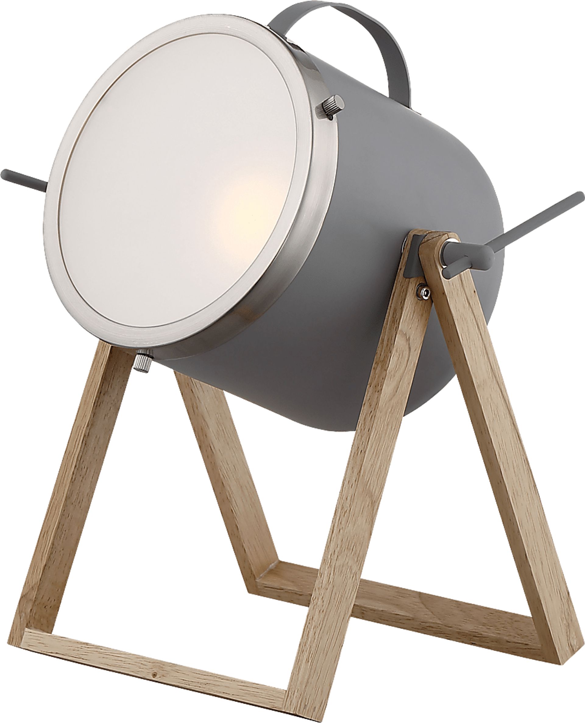 Forest Fields Gray Lamp - Image 1