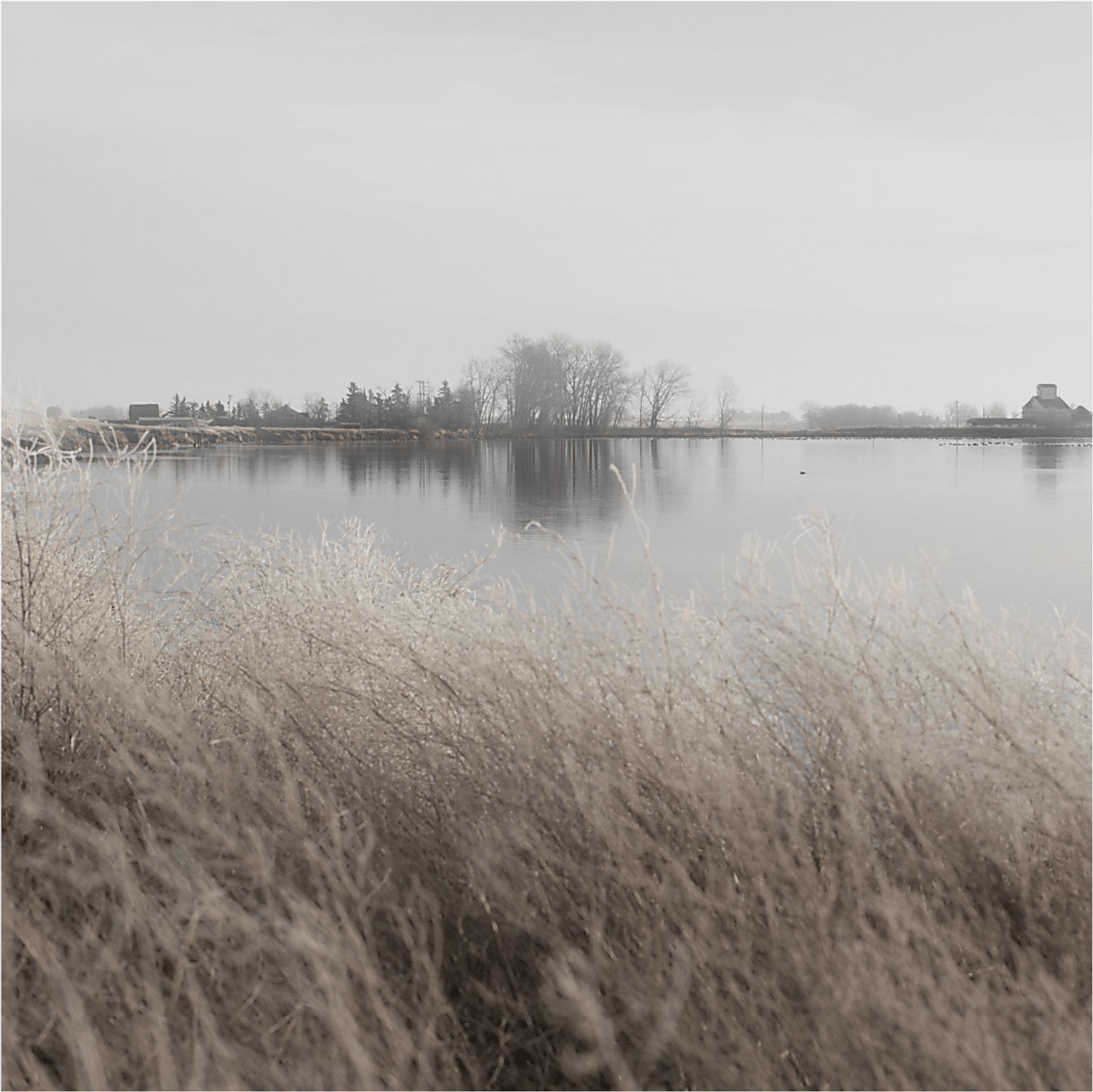 Forheller Multi Canvas Artwork - Image 1