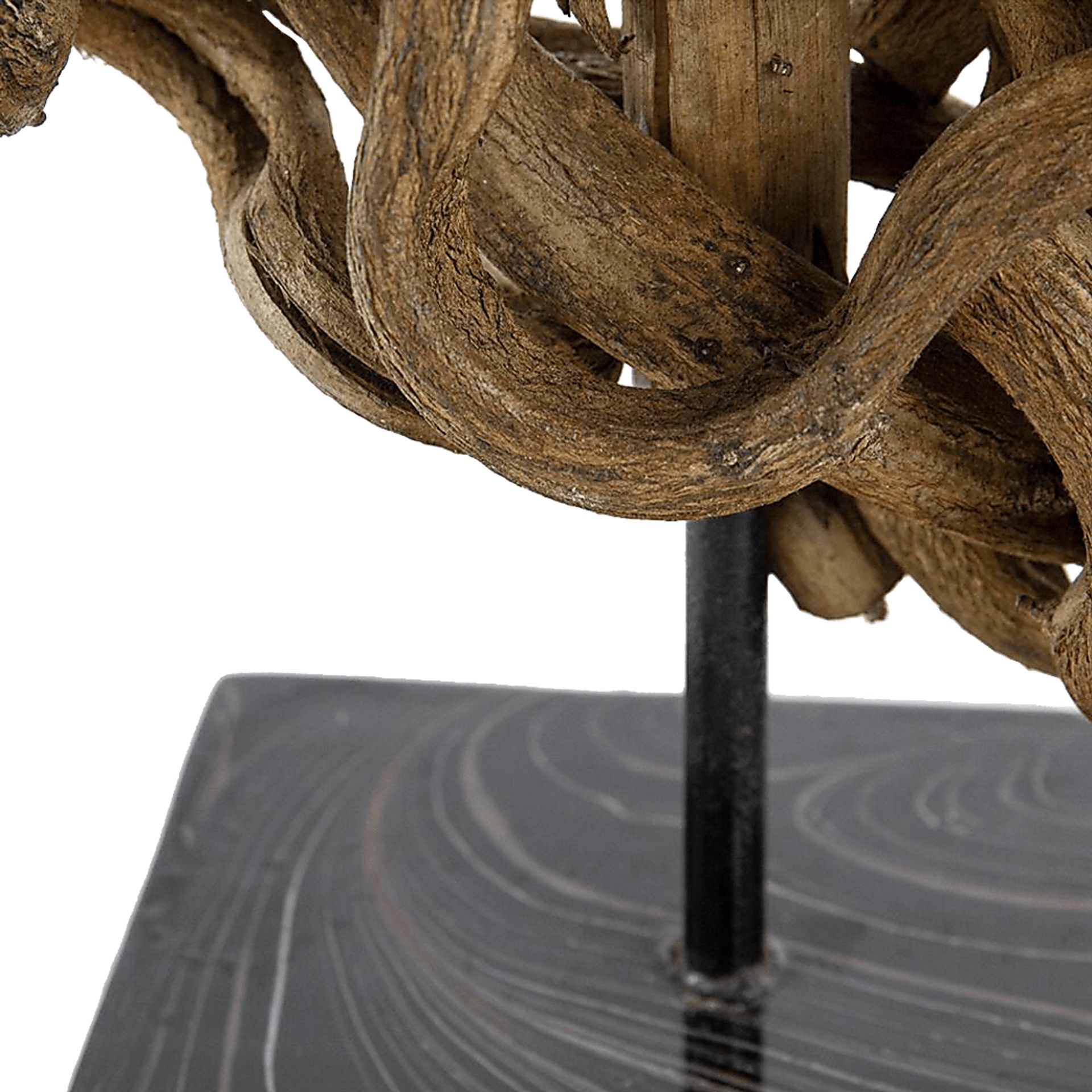Formosana Brown Statue - Image 4