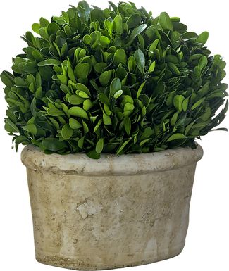 Forsythia Green Vase