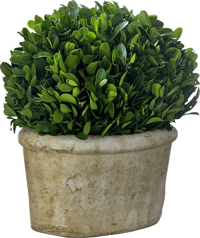 Forsythia Green Vase - Thumbnail - Image 1