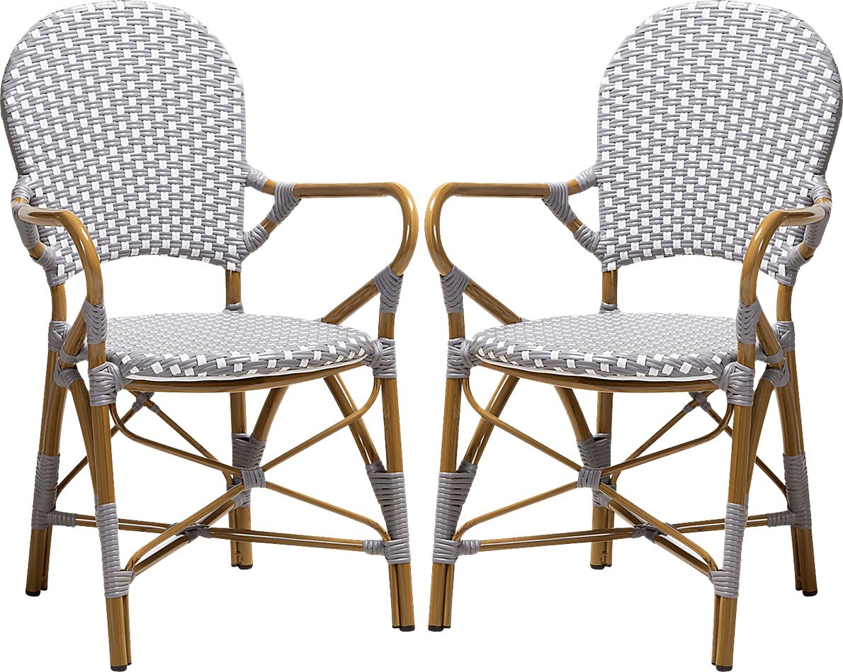 Fossi Gray Dining Chair, Set of 2