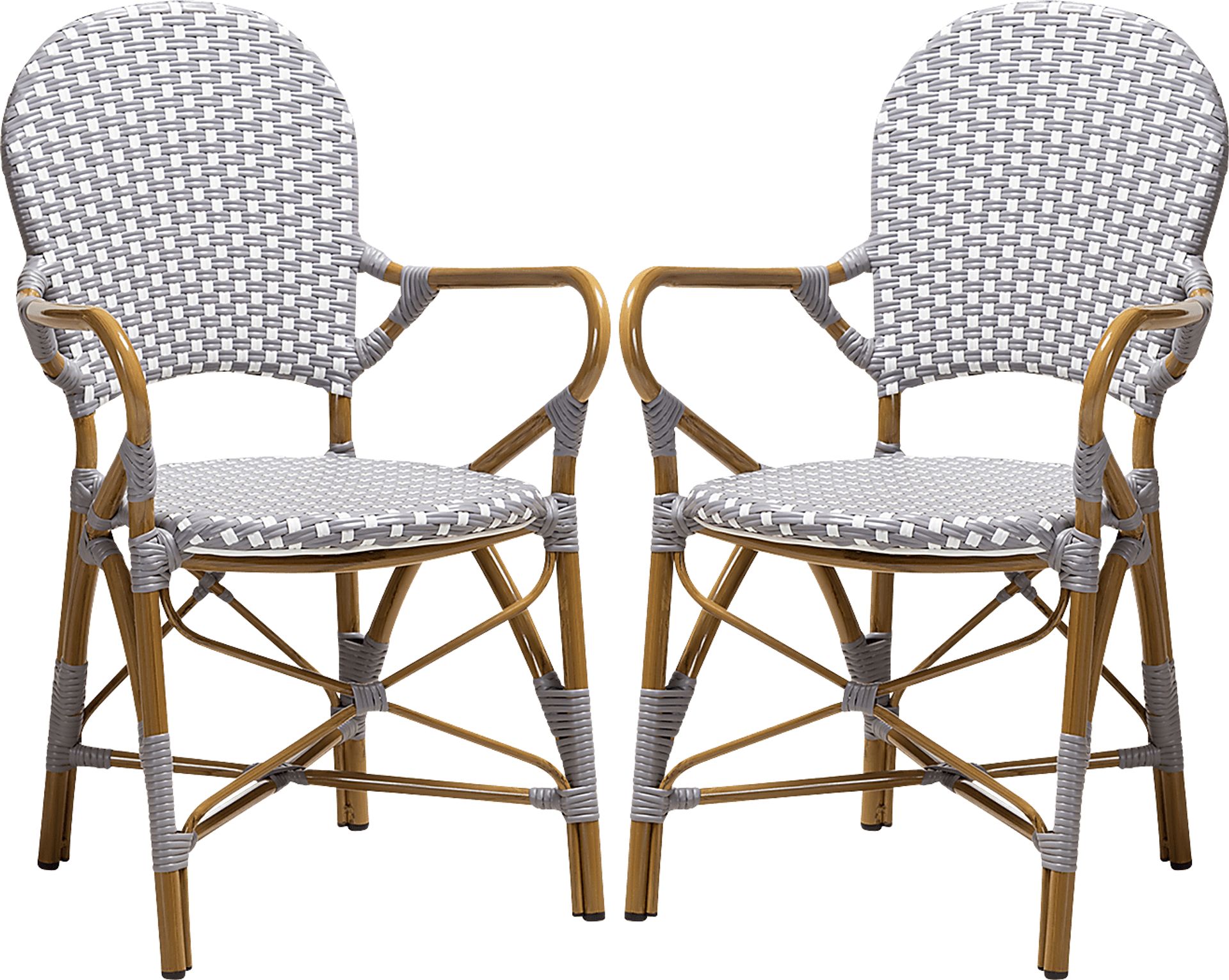 Fossi Gray Arm Chair, Set of 2 - Image 1
