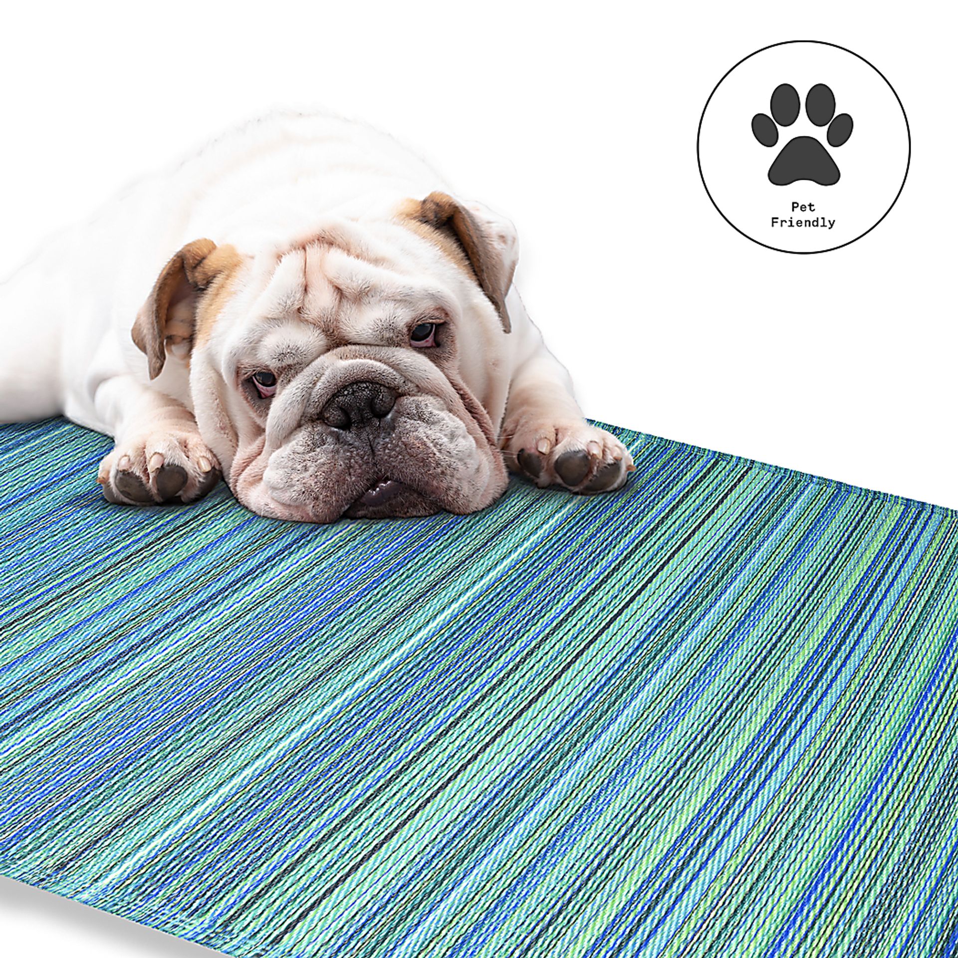 Fovom Multi 6' x 9' Indoor/Outdoor Rug - Image 3