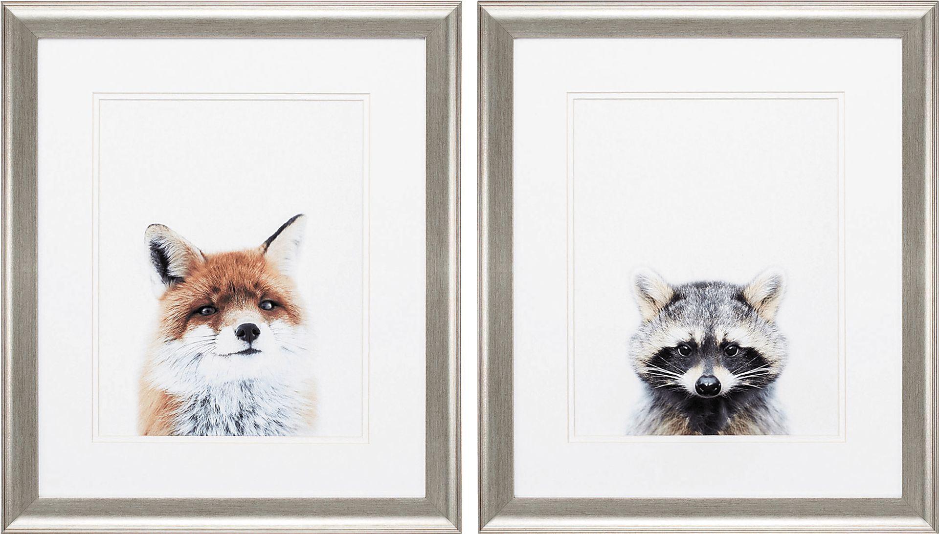 Foxy Racoon Set of 2 Artwork - Image 1