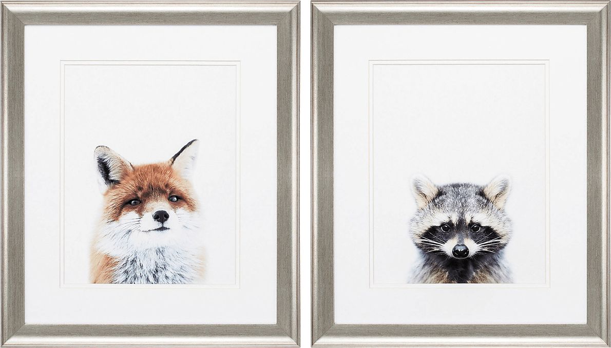 Foxy Racoon Set of 2 Artwork