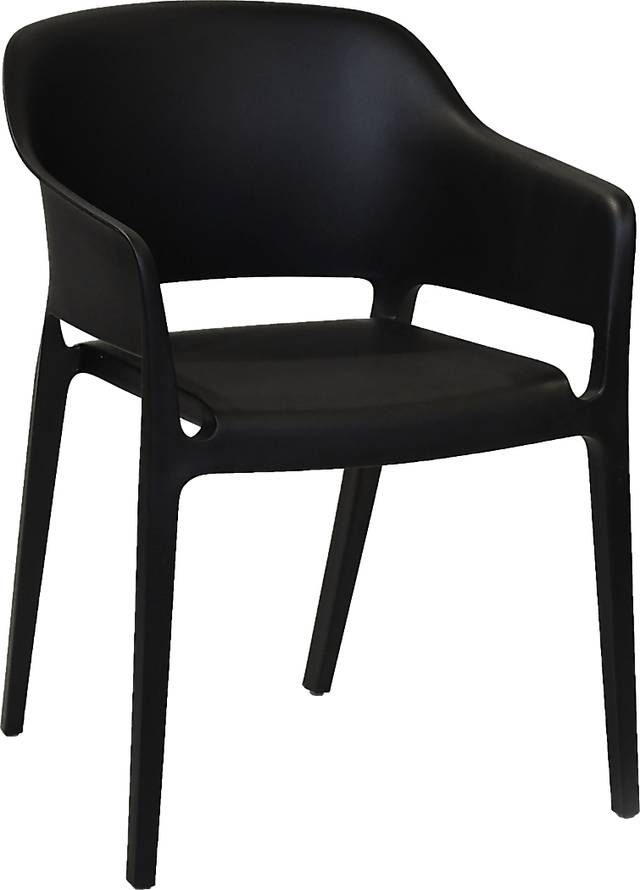Fragancia Black Outdoor Dining Chair, Set of 2 - Thumbnail - Image 1