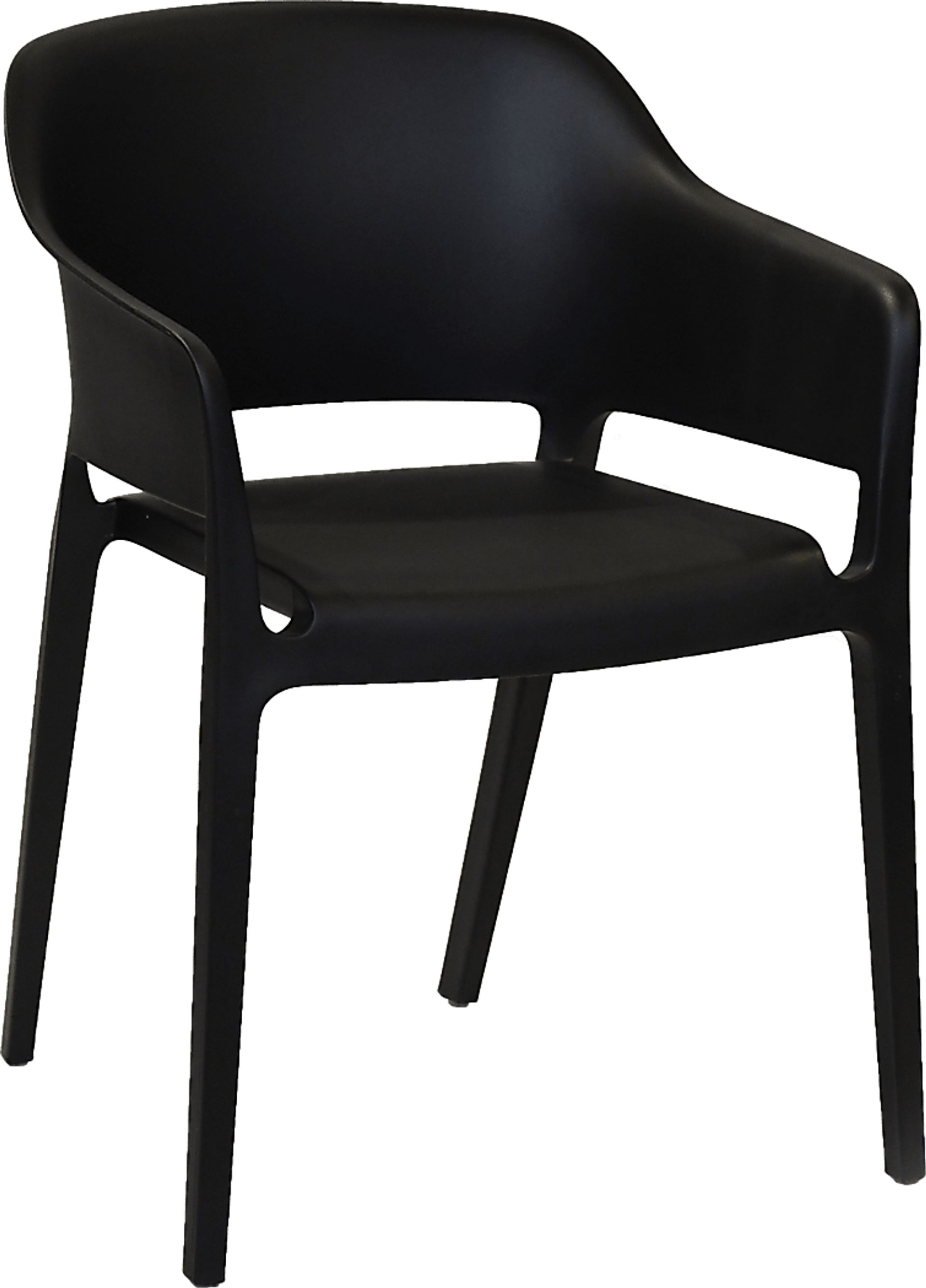 Fragancia Black Outdoor Dining Chair, Set of 2 - Image 1