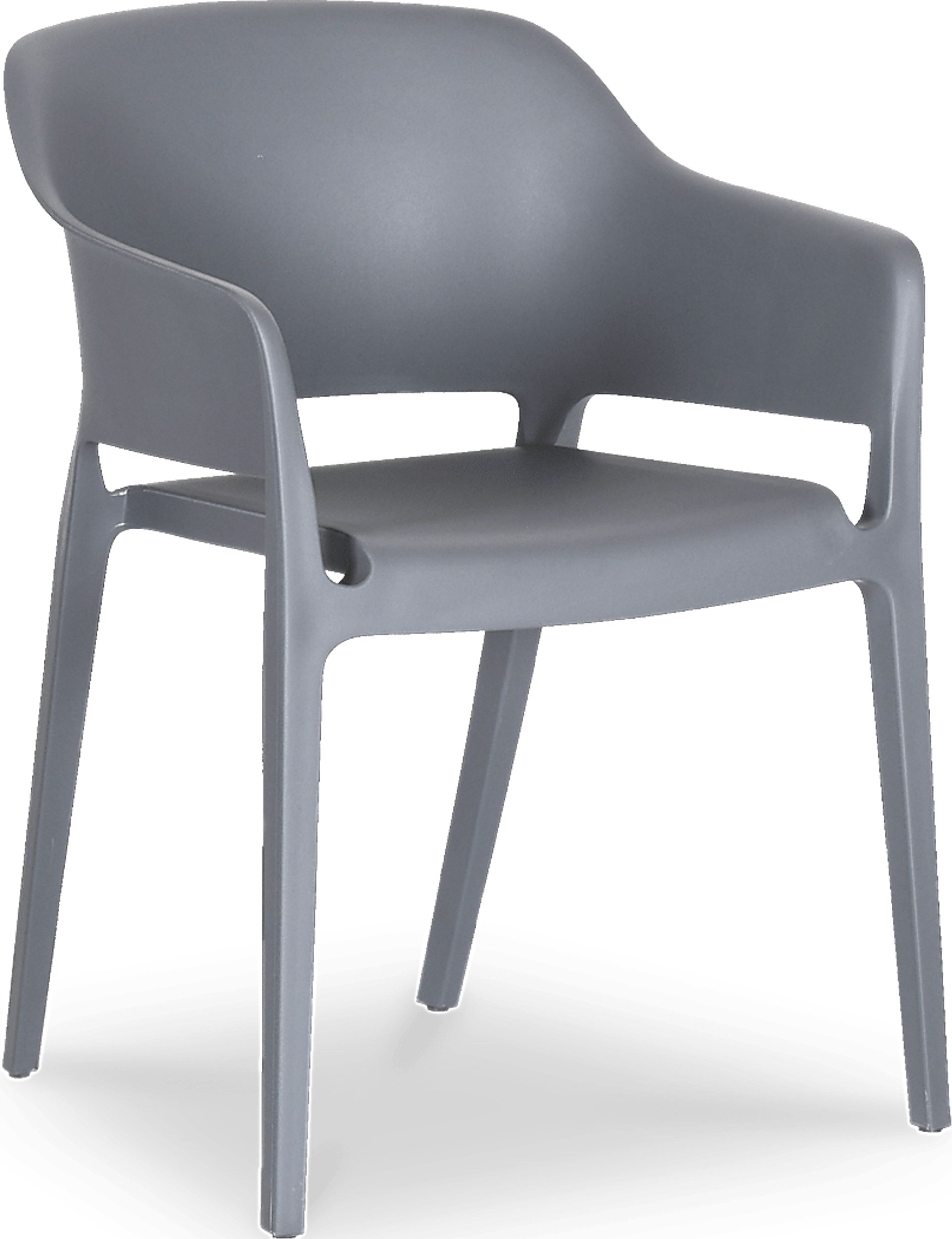 Fragancia Gray Outdoor Dining Chair, Set of 2 - Image 1