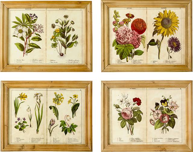 Framed Seasons Set of 4 Artwork - Thumbnail - Image 1