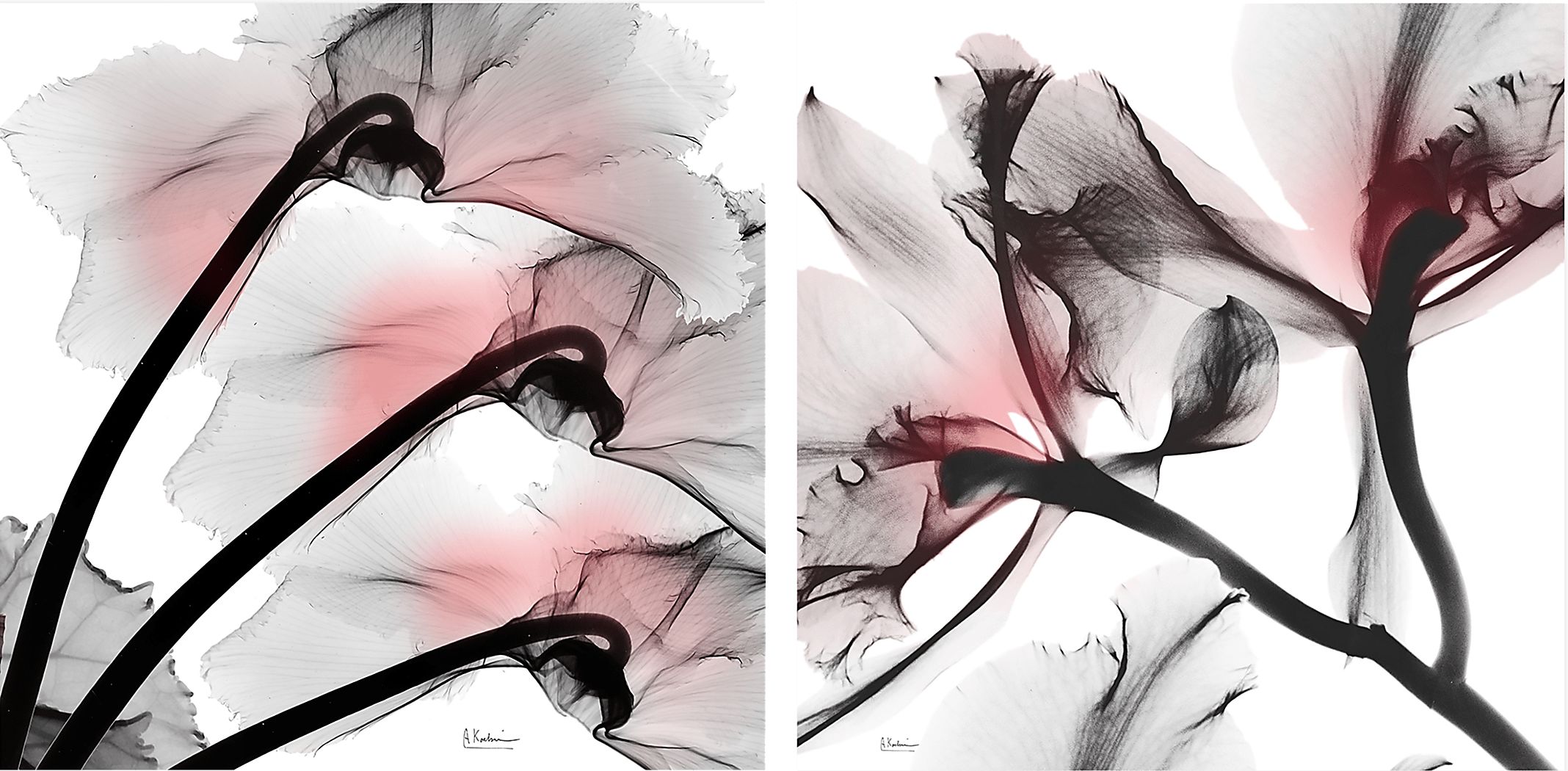 Frascati Black Artwork, Set of 2