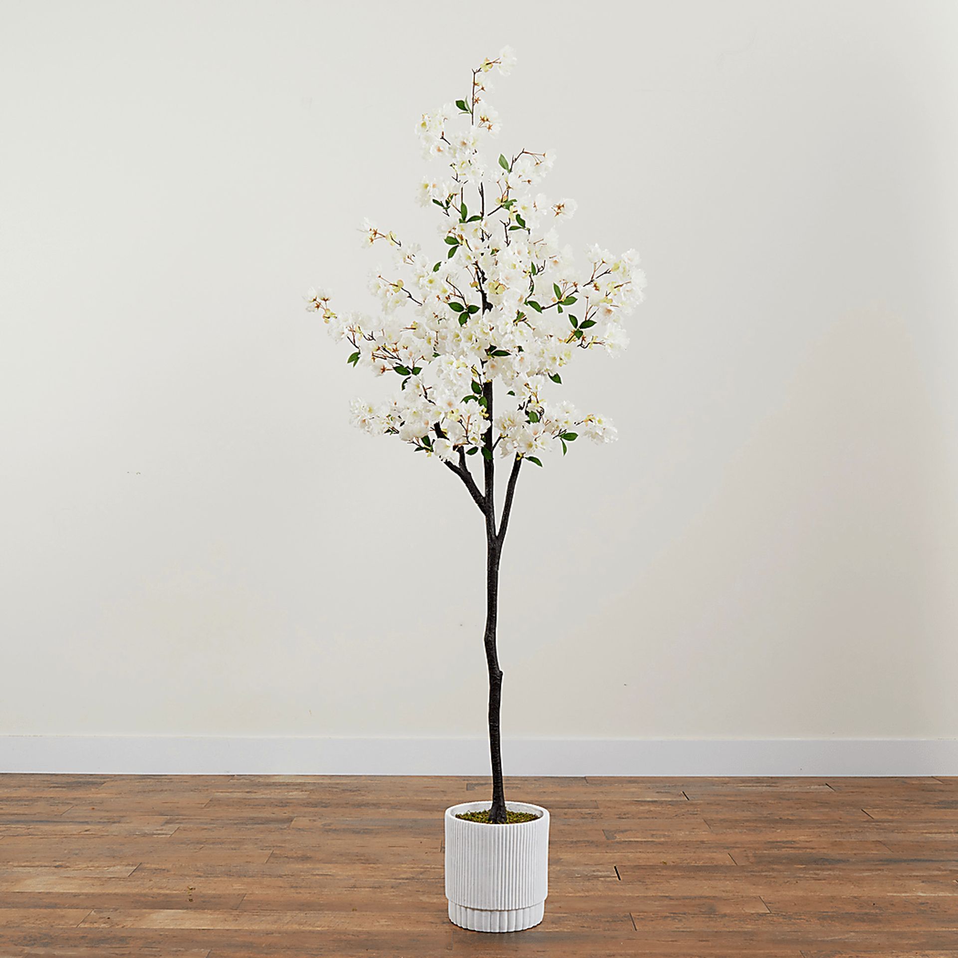 Frenata White Tree with Planter - Image 4