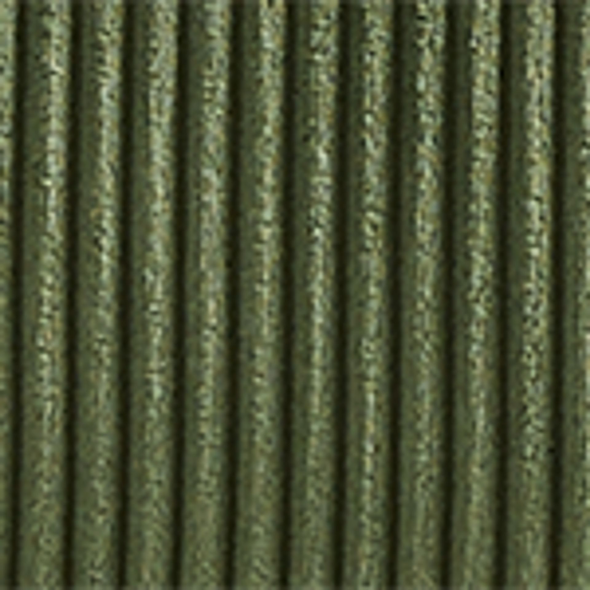 Fern