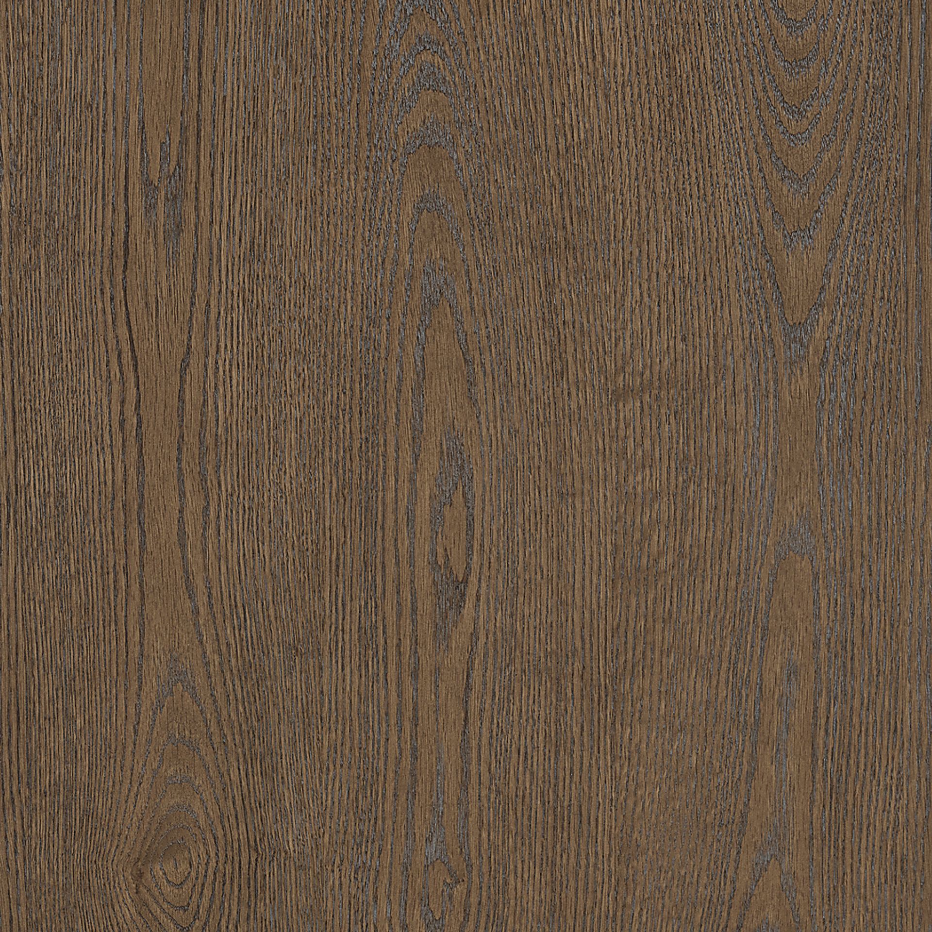 Germa Brown Side Chair, Set of 2 - Image 10