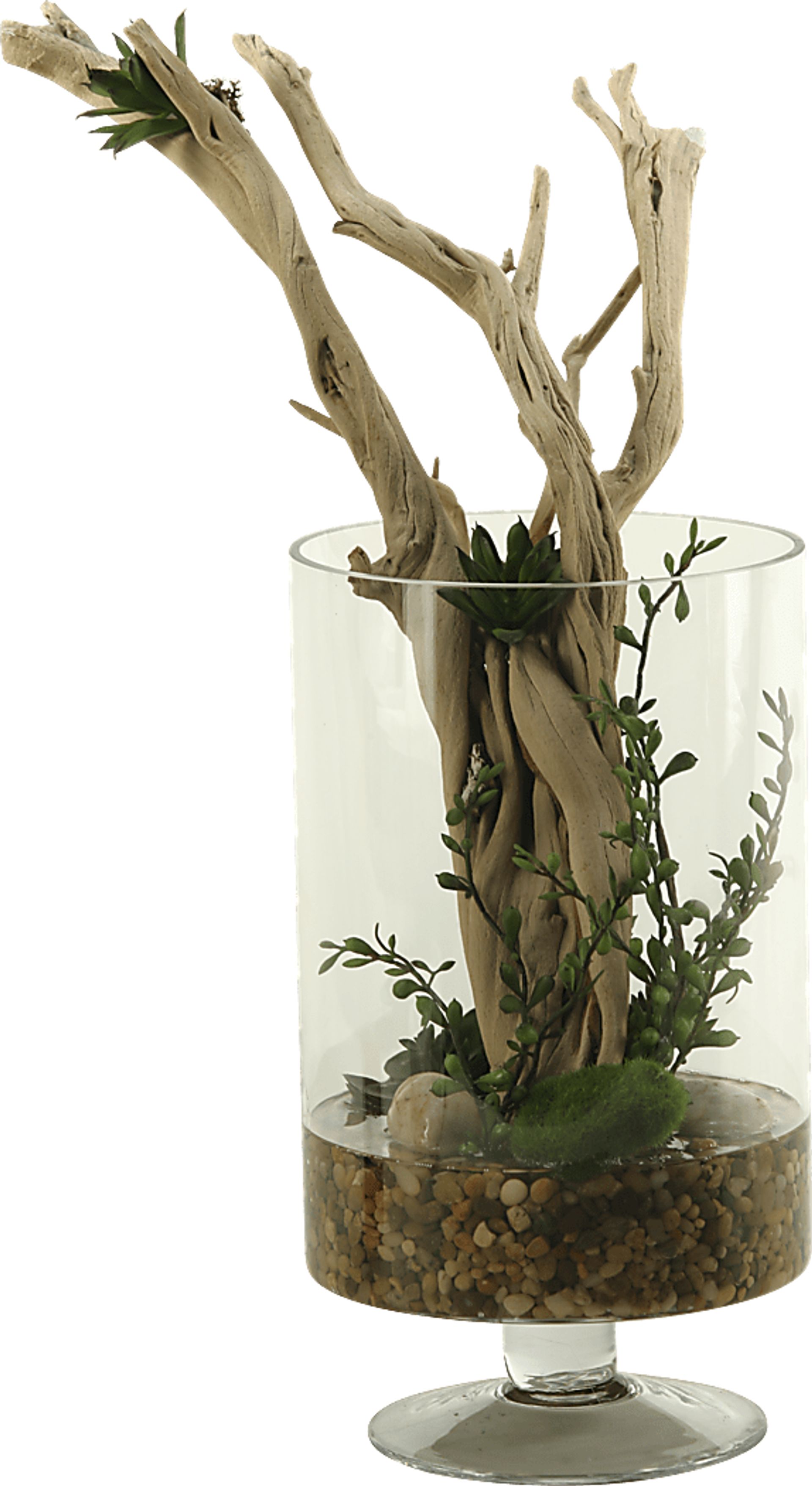Ghostwood Branches in Glass Vase - Image 1