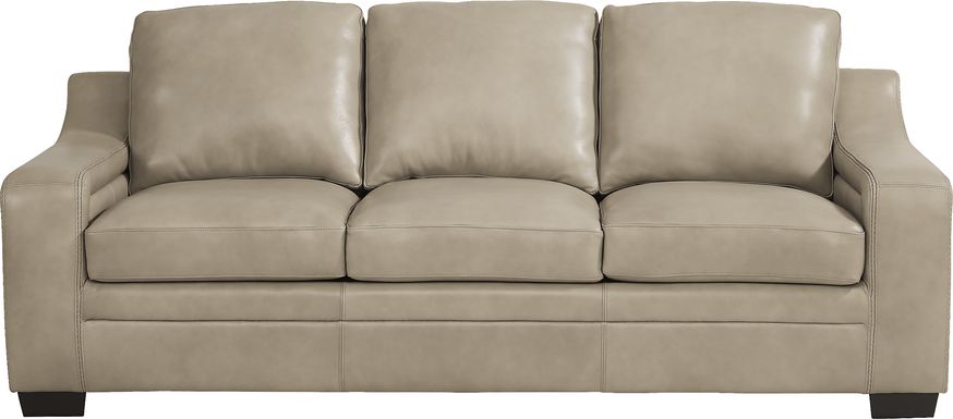 Gisella Leather Premium Sleeper Sofa