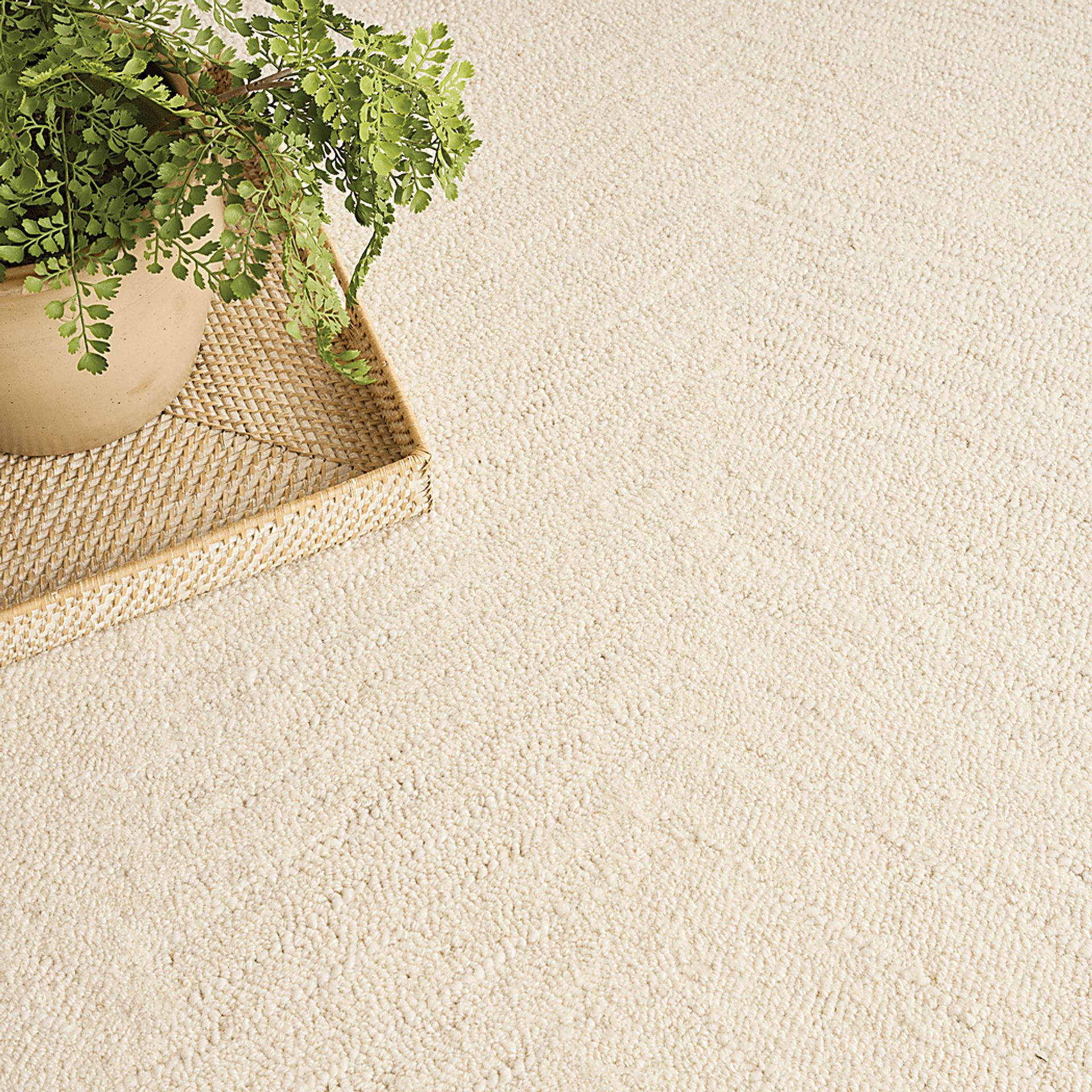 Glided Dunes Beige 5'3 x 7'3 Rug - Image 6