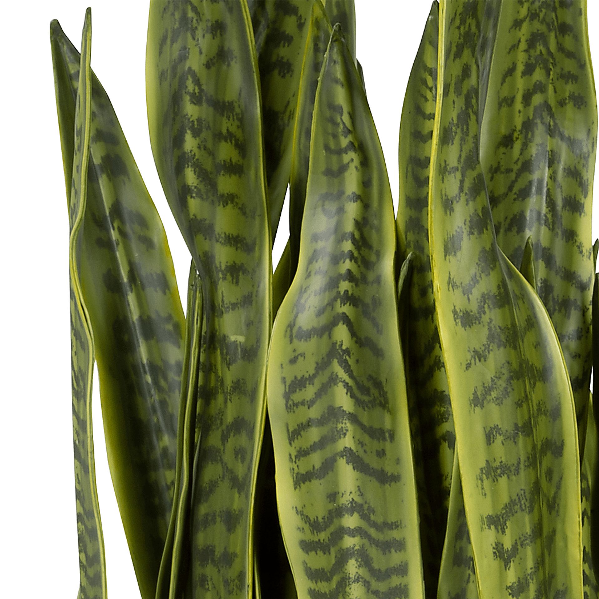 Gloriadale Green Faux Snake Plant - Image 3