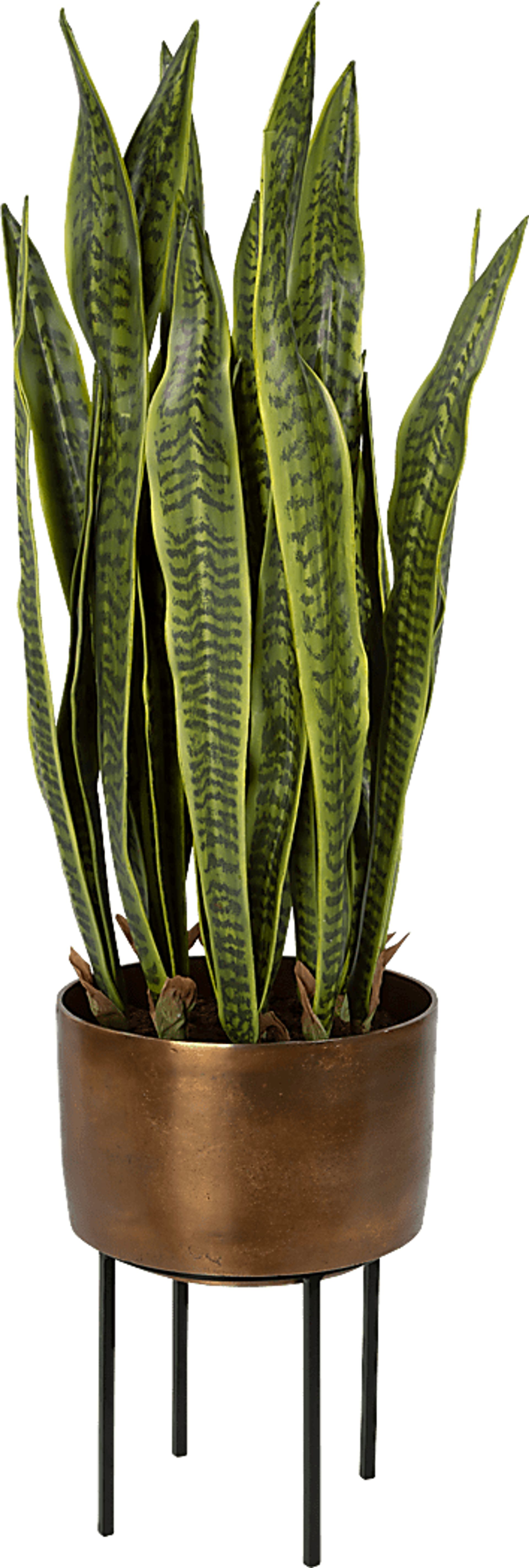 Gloriadale Green Faux Snake Plant - Image 1