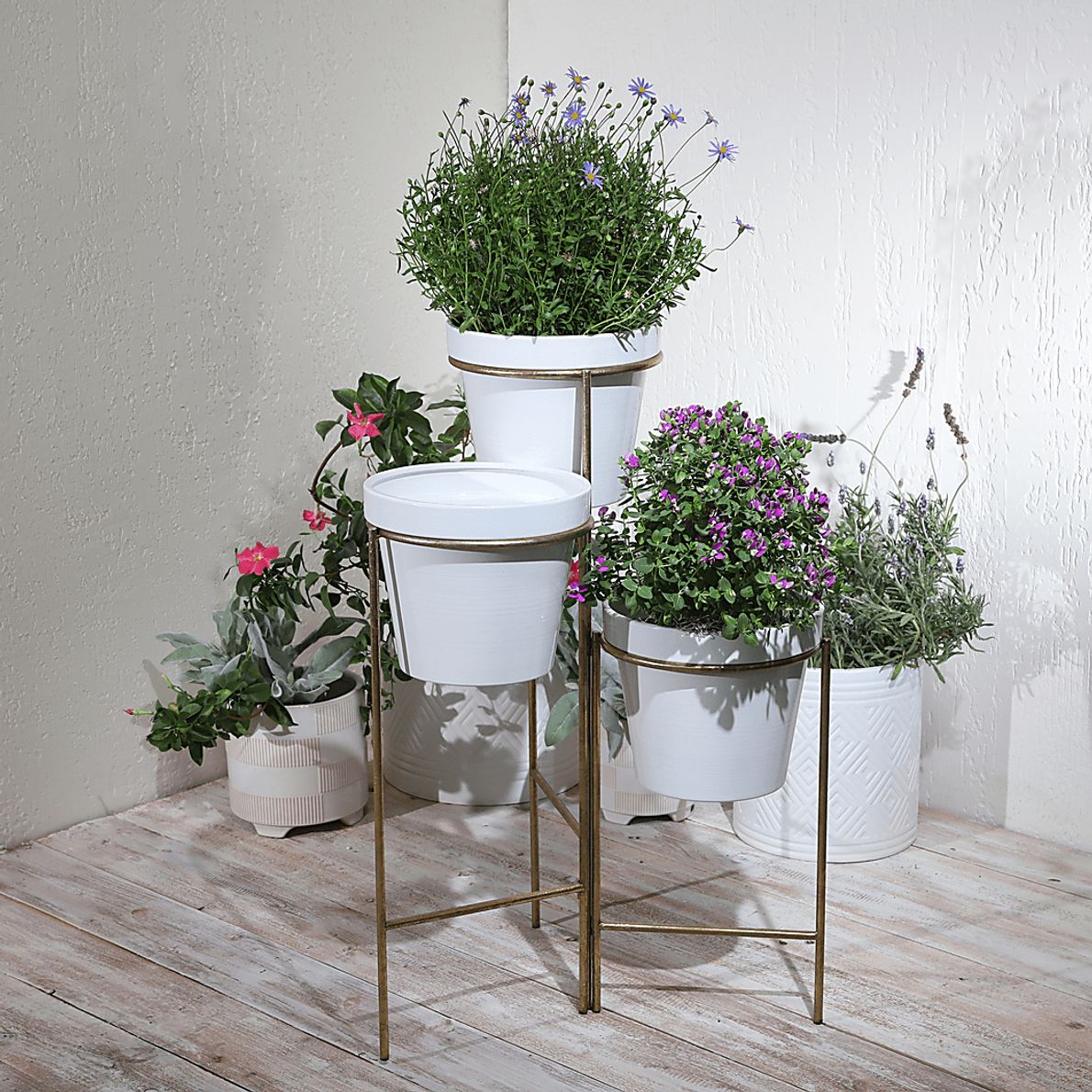 Goldmor White Planter Rooms To Go