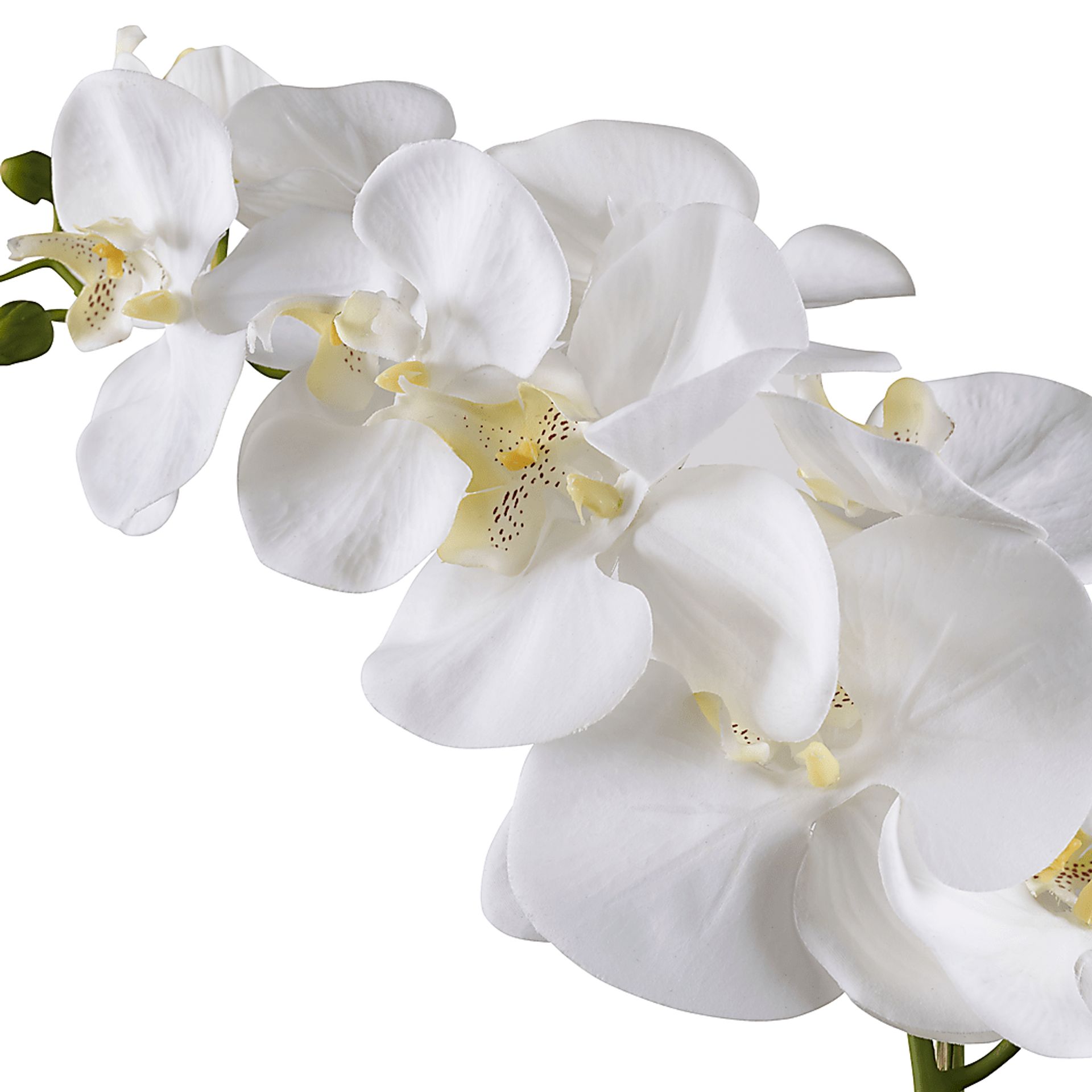 Gosson White Faux Orchid - Image 3